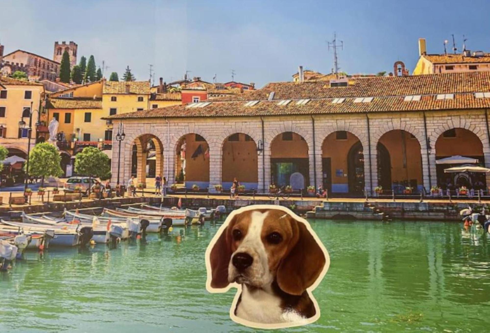 Desenzanoloft Official Partner Marriott Homes & Villas - Jack'S Penthouse Desenzano del Garda Ngoại thất bức ảnh